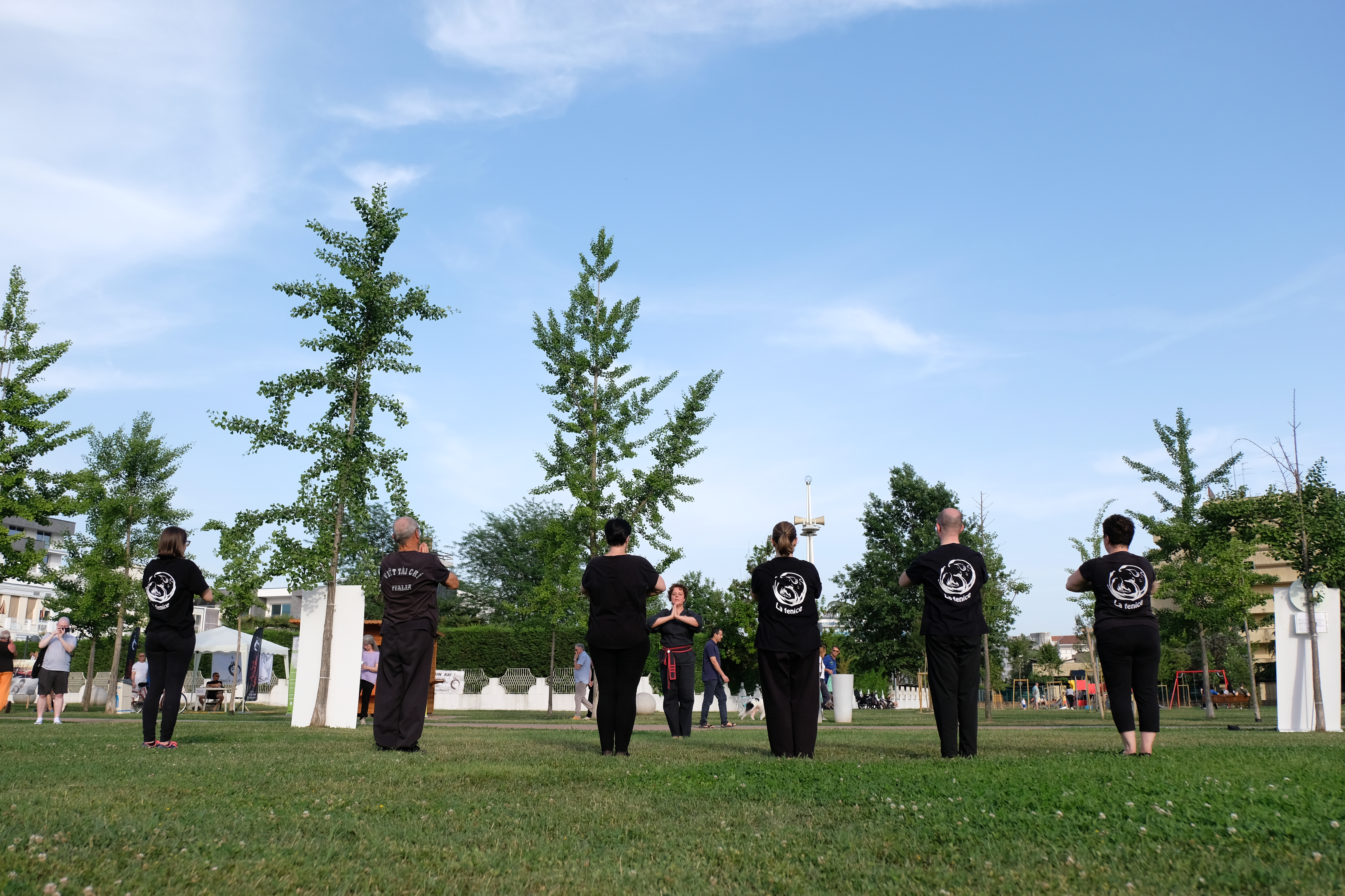 Foto Viet Tai Chi