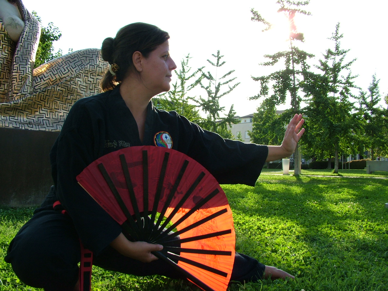 Foto Viet Tai Chi