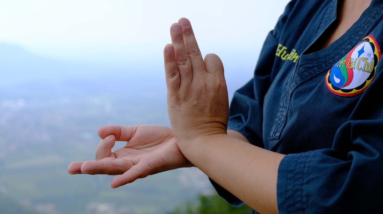 Foto Viet Tai Chi