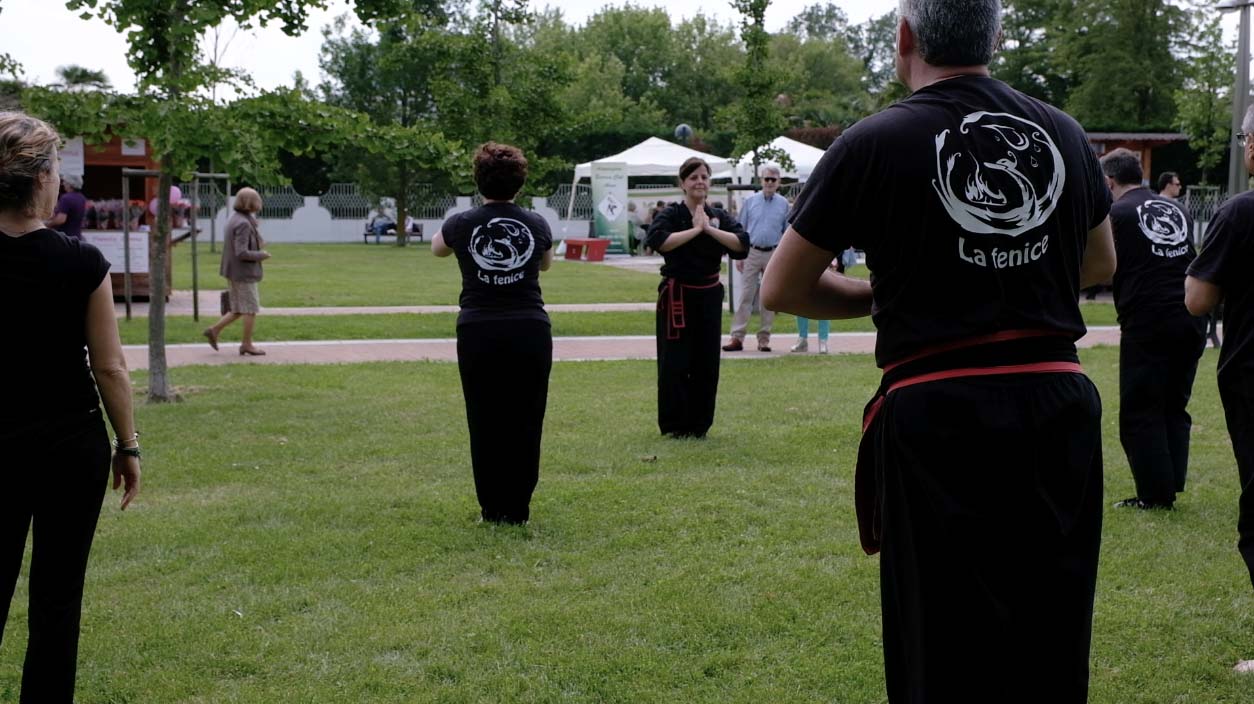 Foto Viet Tai Chi